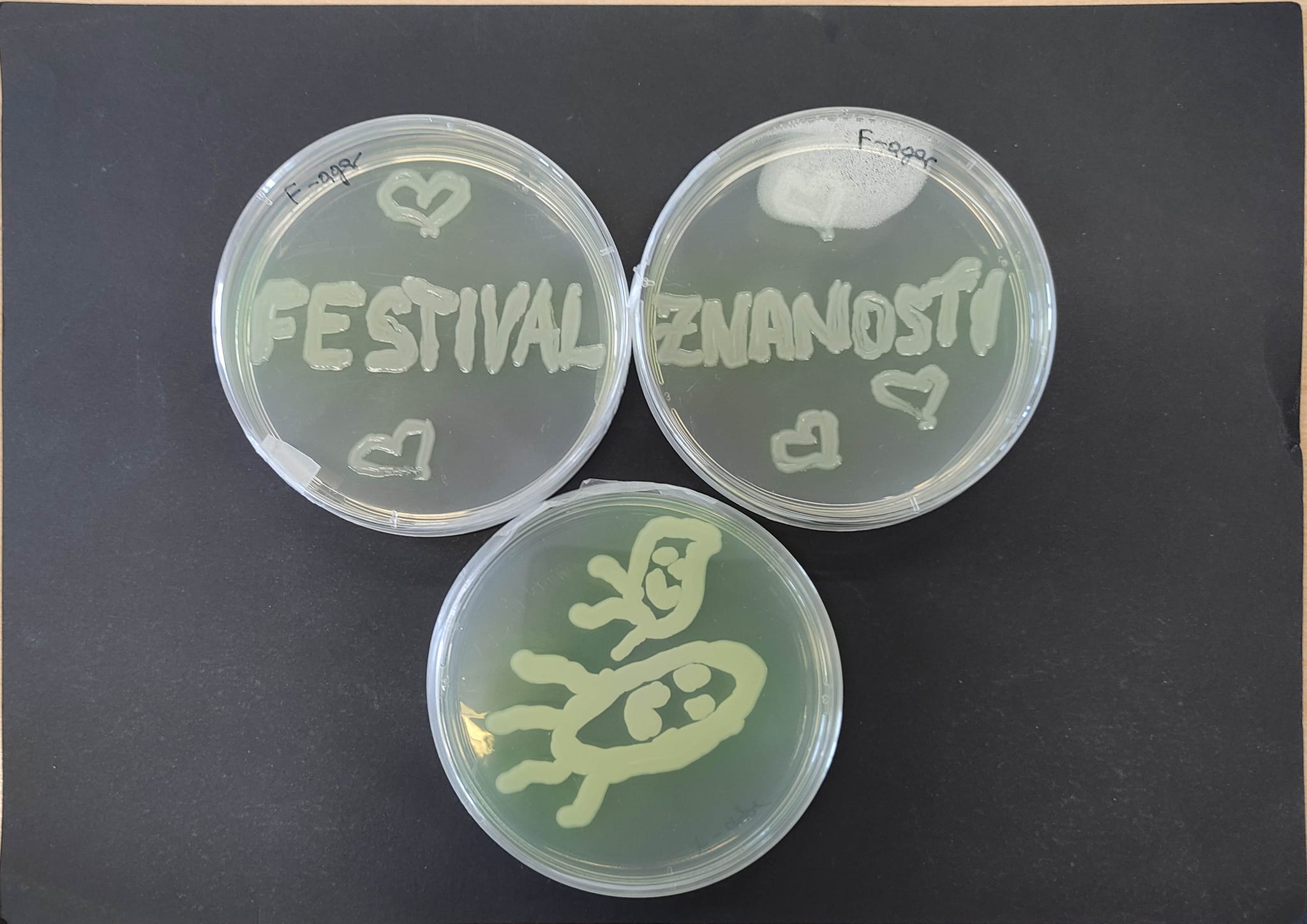 Sudjelovanje na Festivalu znanosti na Sveučilištu Sjever u Varaždinu